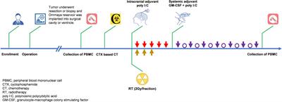 Combination of Immunotherapy and Radiotherapy for Recurrent Malignant Gliomas: Results From a Prospective Study